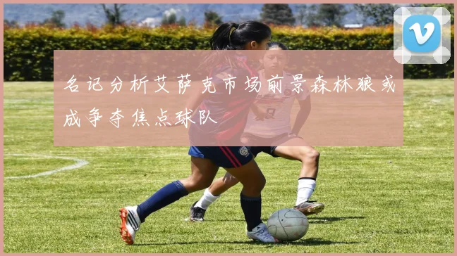 名记分析艾萨克市场前景森林狼或成争夺焦点球队