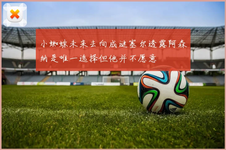 小蜘蛛未来去向成谜塞尔透露阿森纳是唯一选择但他并不愿意