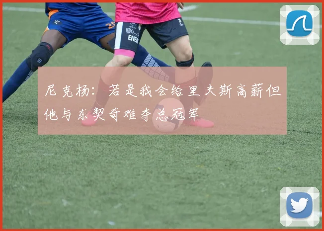 尼克杨：若是我会给里夫斯高薪但他与东契奇难夺总冠军