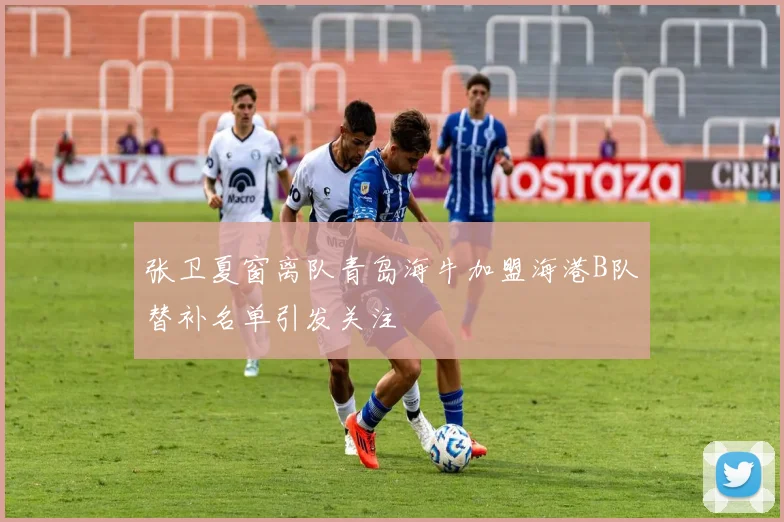 张卫夏窗离队青岛海牛加盟海港B队替补名单引发关注